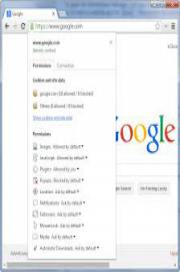 Google Chrome v46